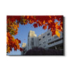 Virginia Tech Hokies - Lane Autumn Leaves