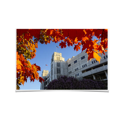 Virginia Tech Hokies - Lane Autumn Leaves